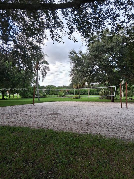 Volley Ball Court