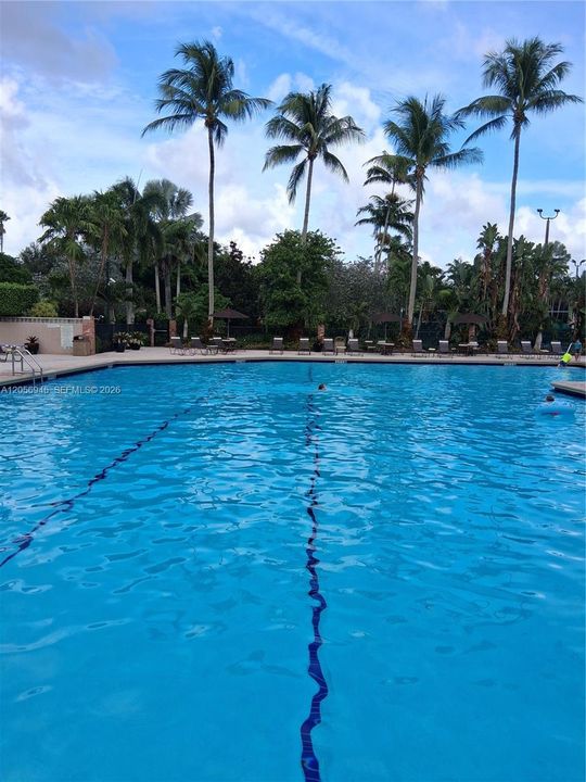 Community Pool