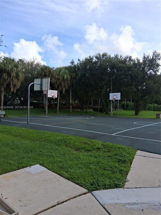 Basket Court