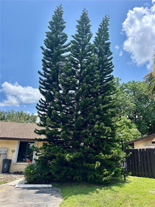 For Sale: $289,900 (2 beds, 2 baths, 960 Square Feet)
