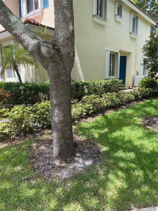 For Rent: $3,200 (3 beds, 2 baths, 1684 Square Feet)