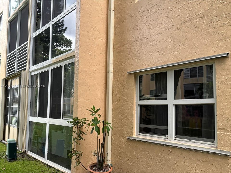 Rear building showing impact windows