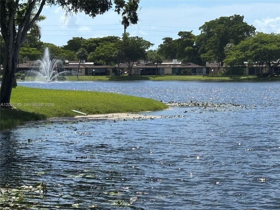 COMMUNITY LAKE