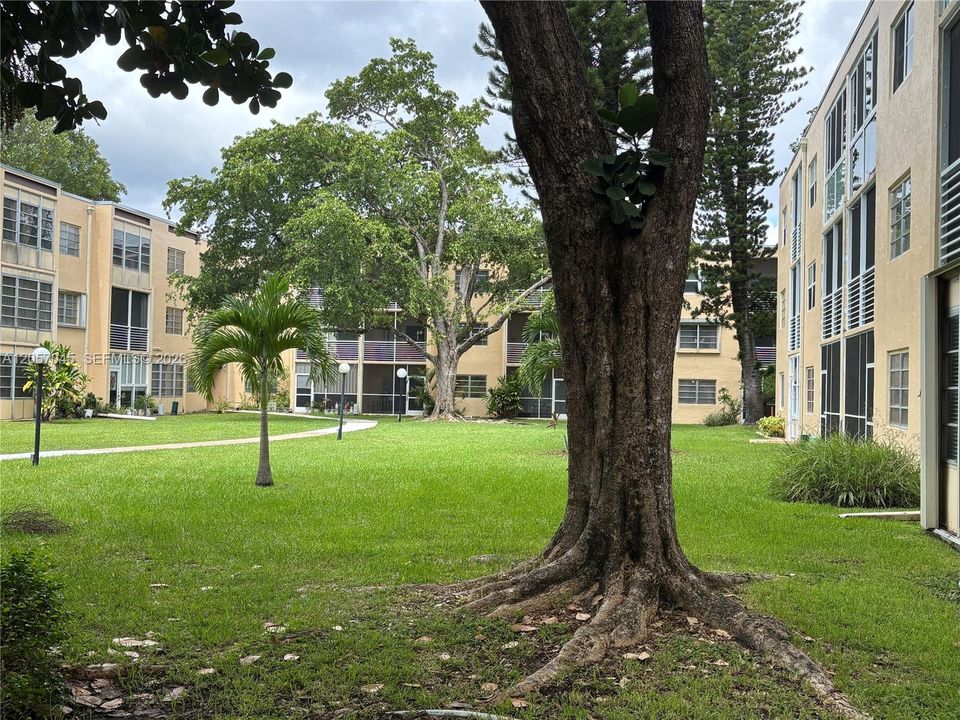 Rear- Green area