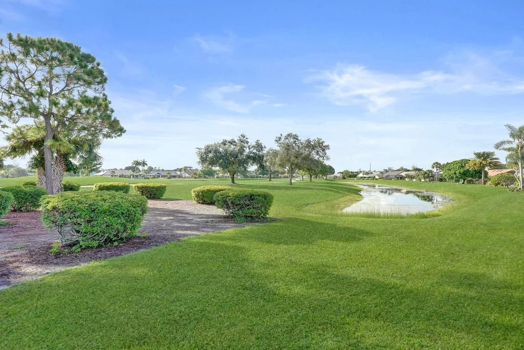 Golf Views