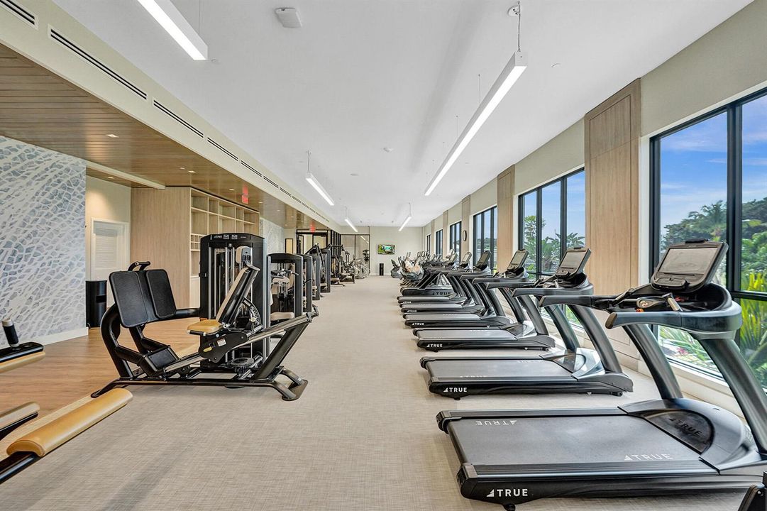 Cardio Studio