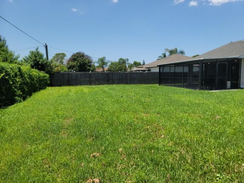 Back yard