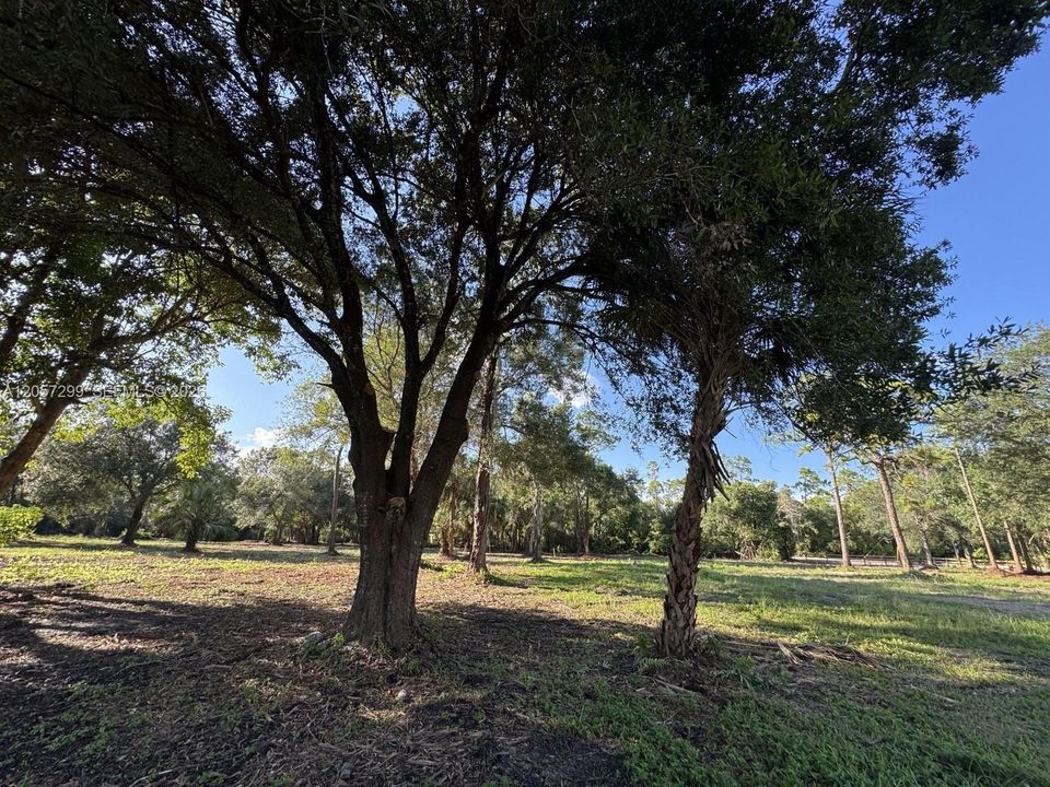 For Sale: $625,000 (8.50 acres)