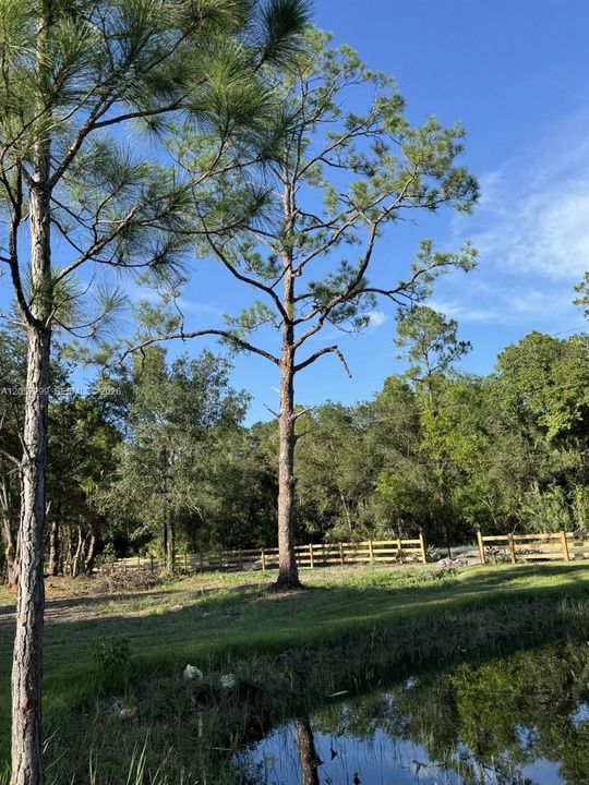 For Sale: $625,000 (8.50 acres)