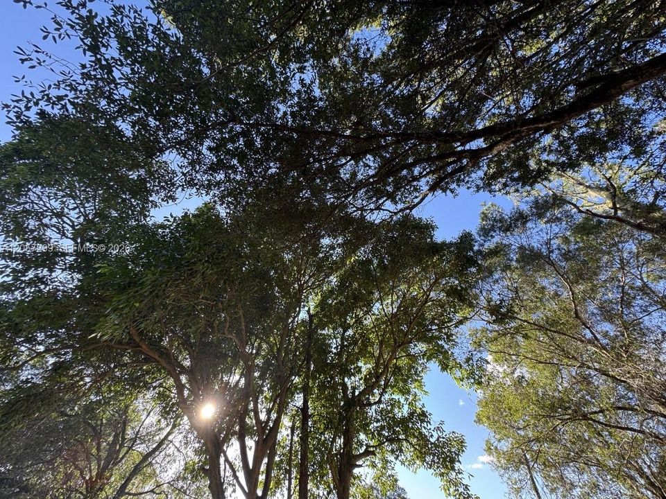 For Sale: $625,000 (8.50 acres)