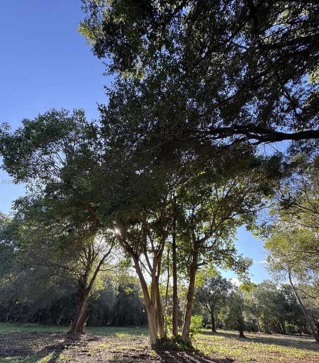 For Sale: $625,000 (8.50 acres)