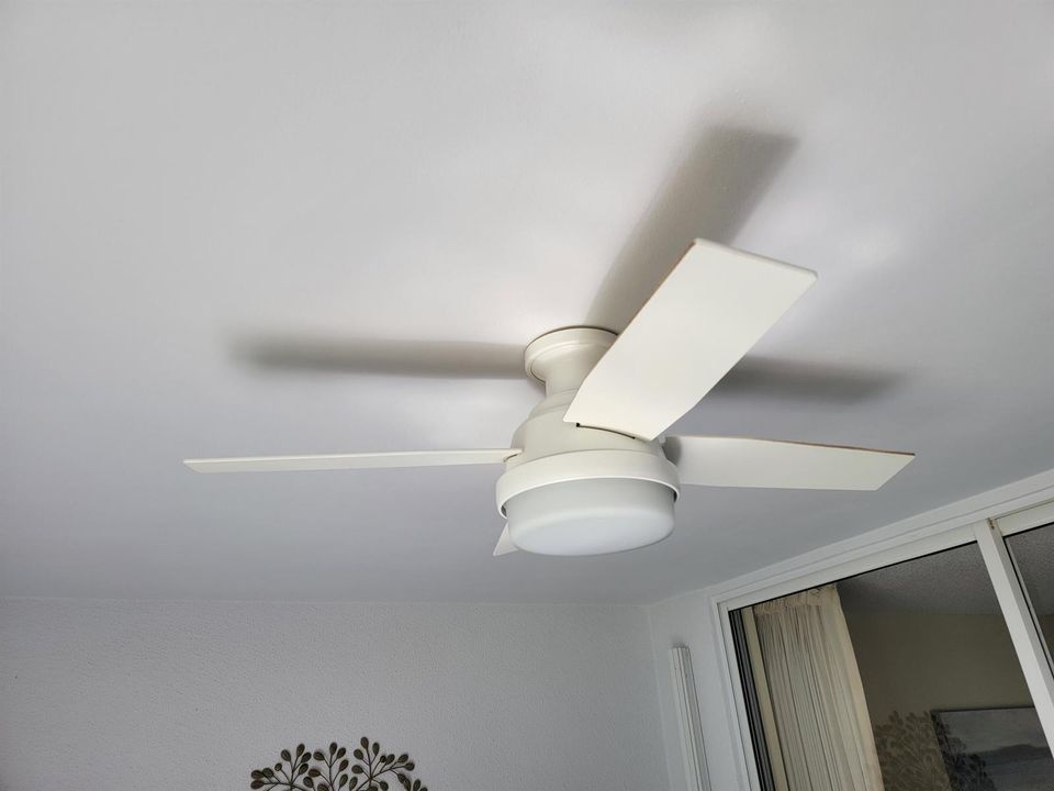 New fan