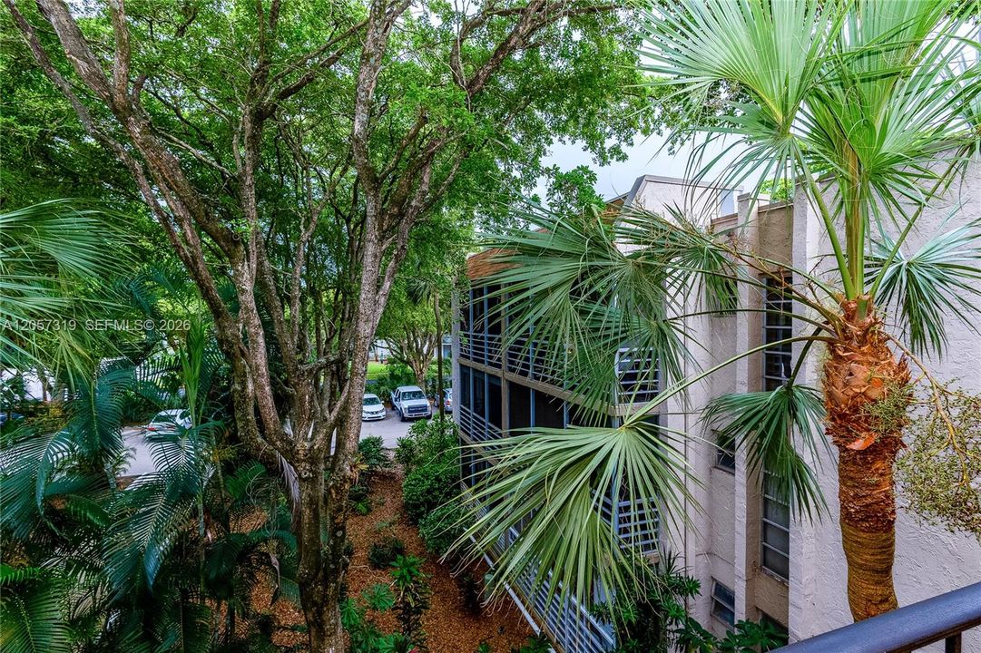 En Venta: $299,999 (3 camas, 2 baños, 1300 Pies cuadrados)