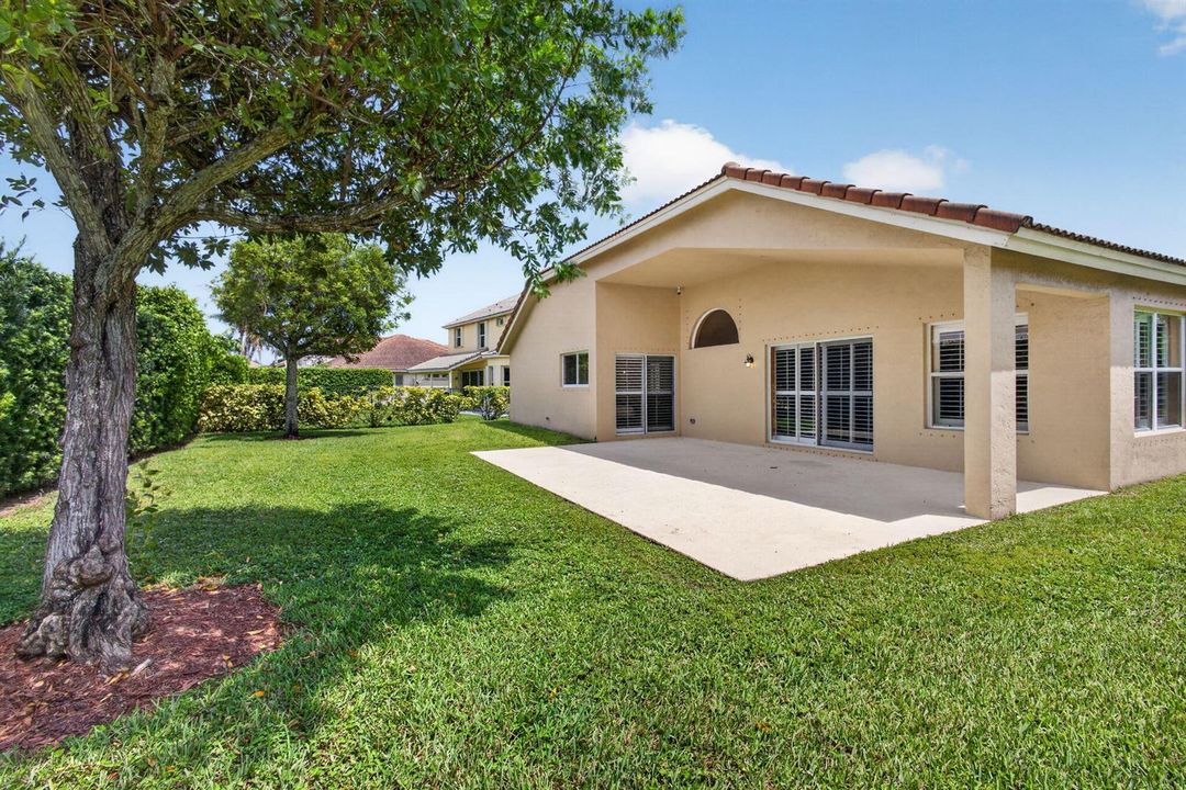 53-web-or-mls-5D1A2060