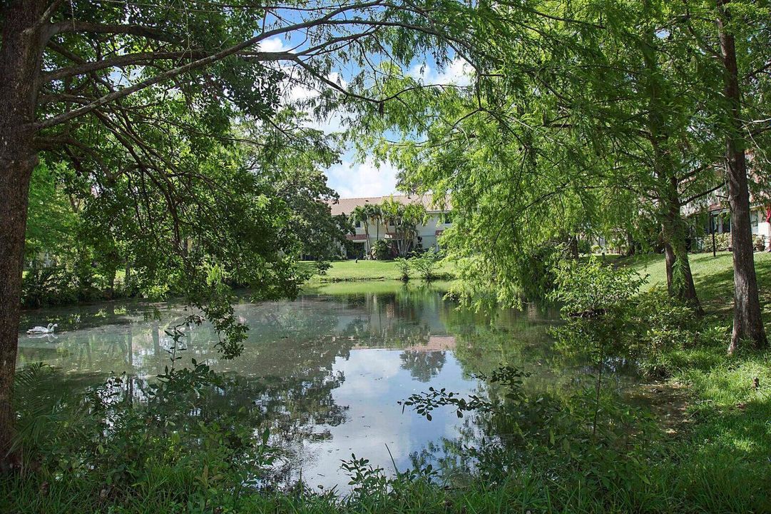 Lakeview