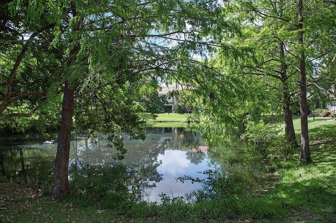 Lakeview