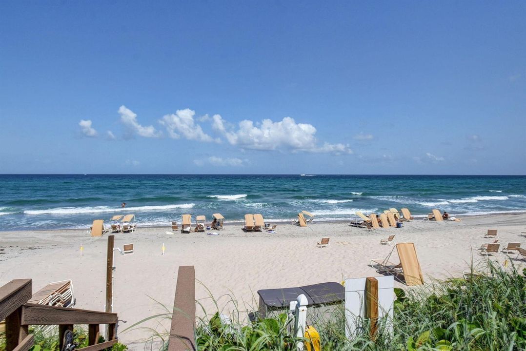 Beach Club