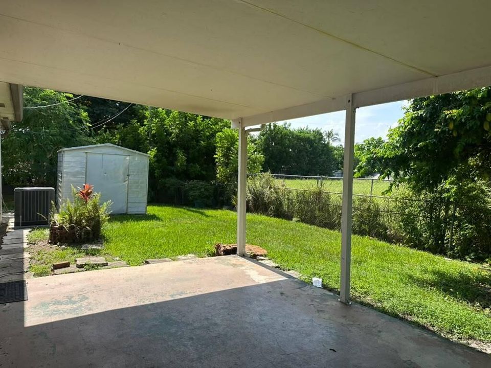 Backyard