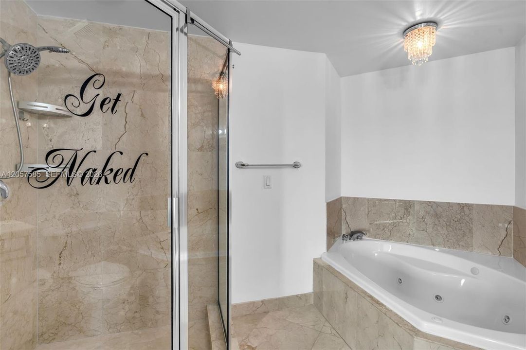 Master Bath w Hot Tub and Shower
