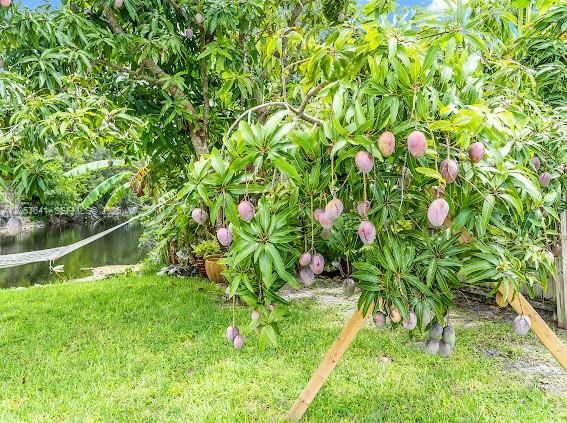 На продажу: $560,000 (3 спален, 2 ванн, 1217 Квадратных фут)