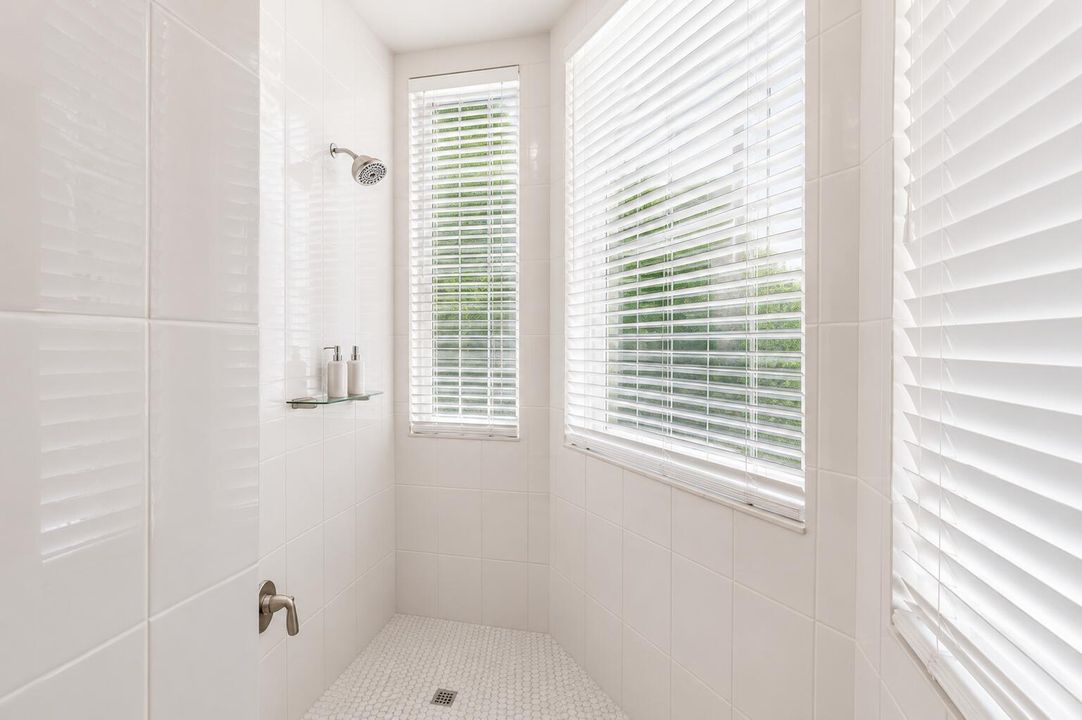 Primary Shower