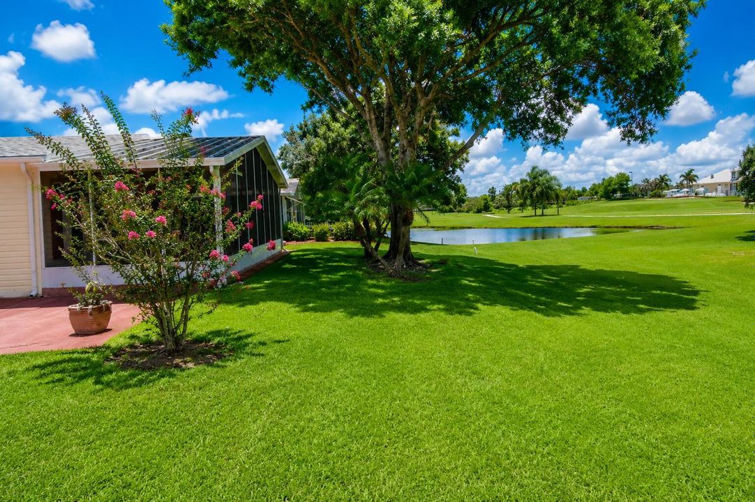 Back Yard View