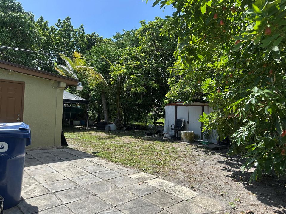 Backyard 1