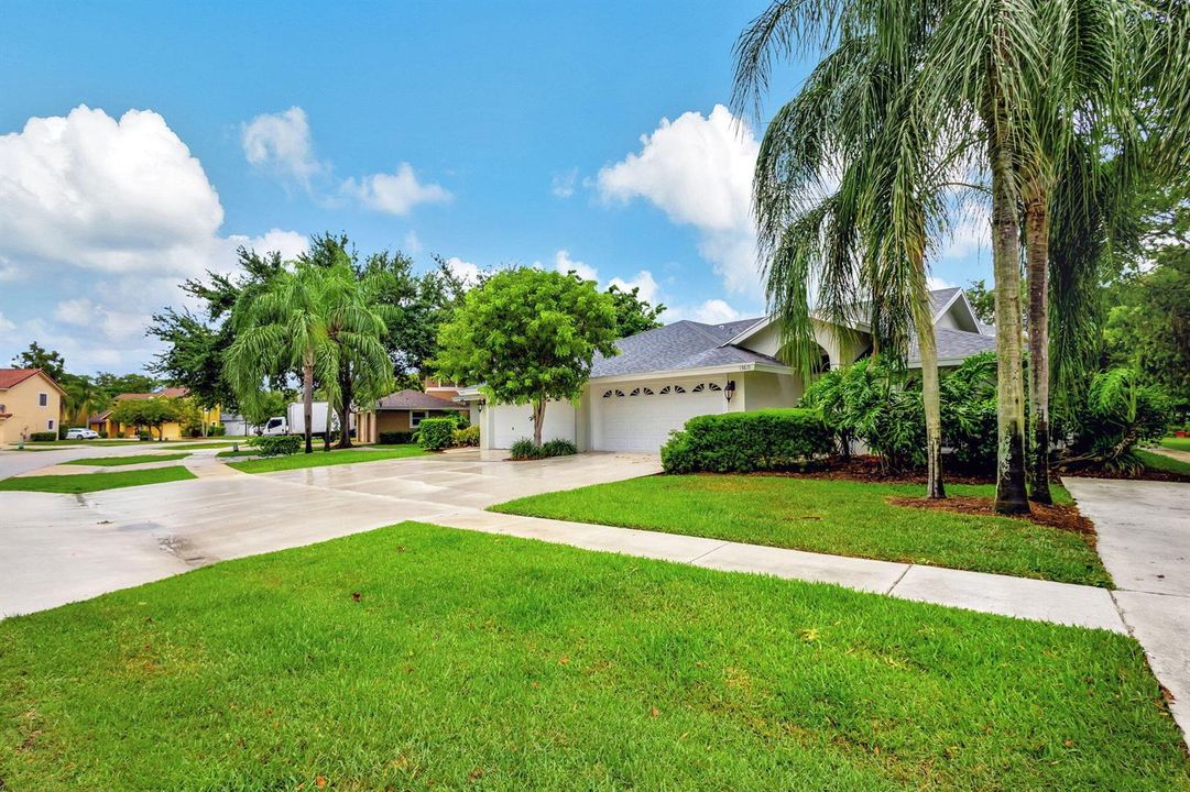 3-web-or-mls-5D1A1797 2024-09-15 22_19_0