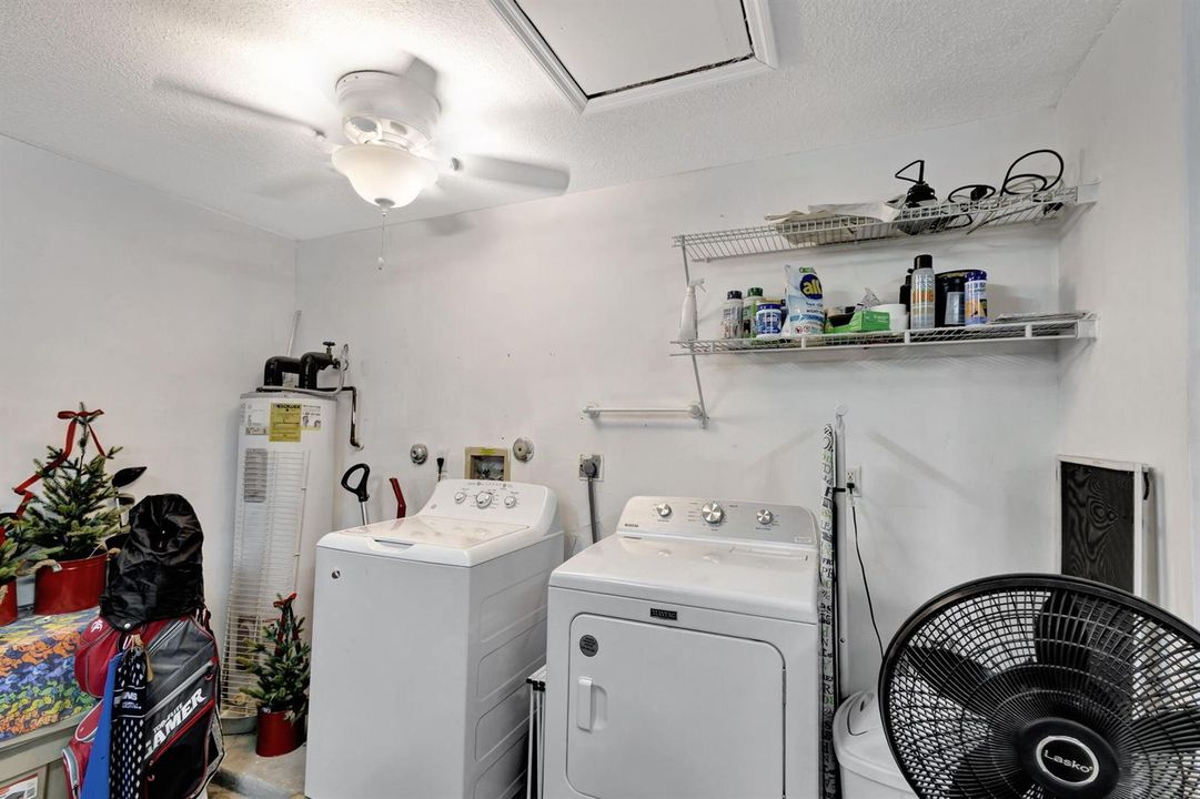 6-web-or-mls-5D1A1832 2024-09-15 22_19_1