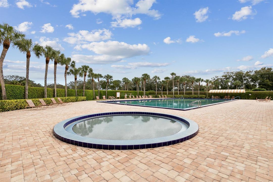 Pool & Spa
