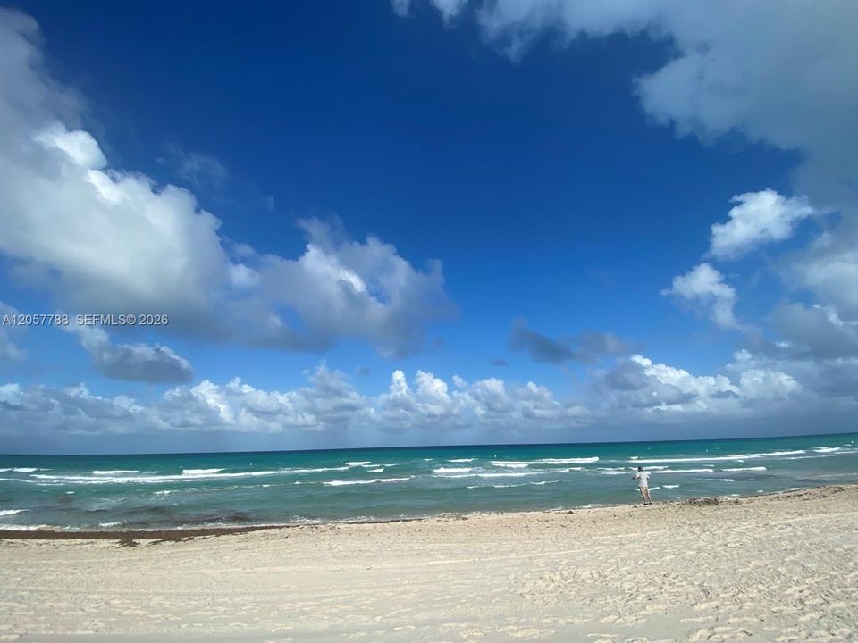 For Rent: $1,695 (0 beds, 1 baths, 0 Square Feet)