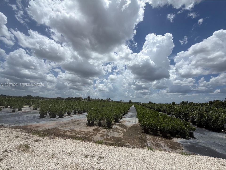 待售: $1,490,000 (5.00 acres)