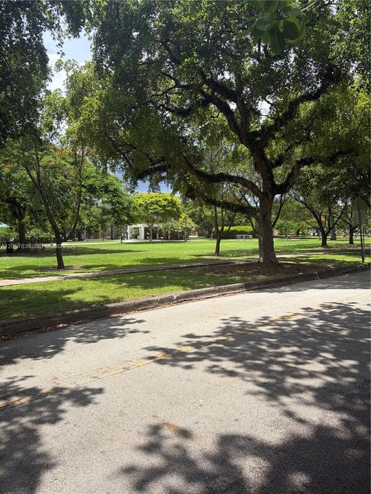 front park area view