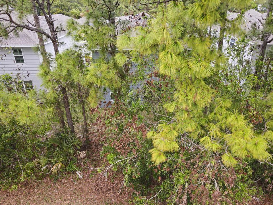 71_dji_fly_20260402_113044_462_177514403