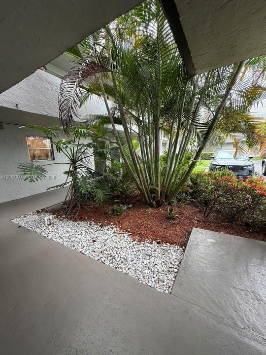 Downstairs garden near stairs to go to unit