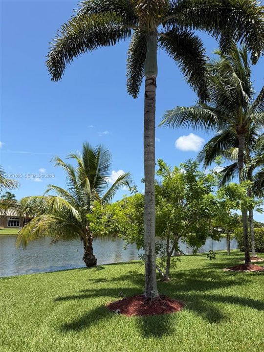 En Venta: $2,250,000 (5 camas, 4 baños, 4225 Pies cuadrados)