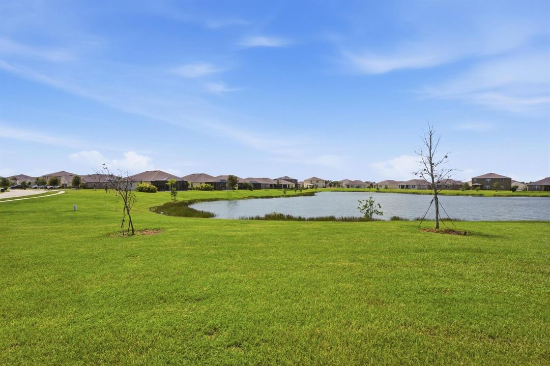 Backyard Water Views