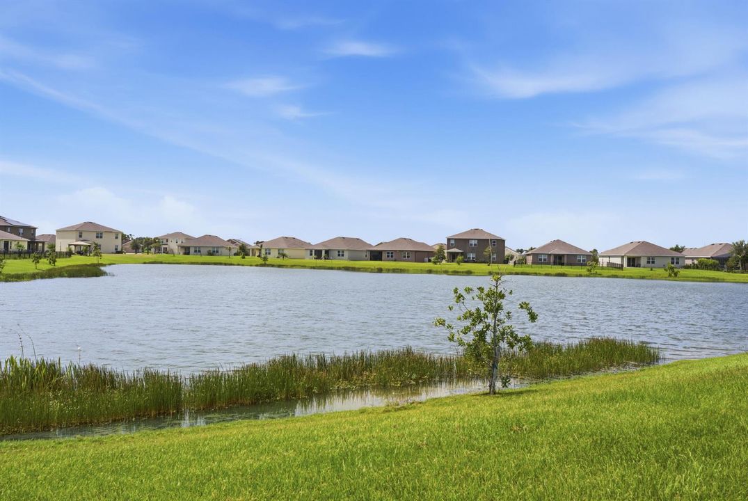 Water Views