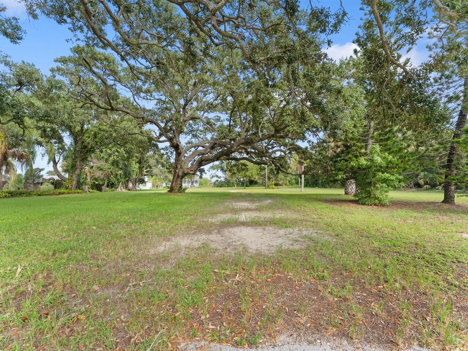 _DSC0103