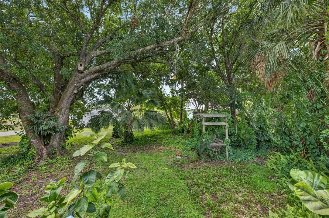 41 - Front Yard
