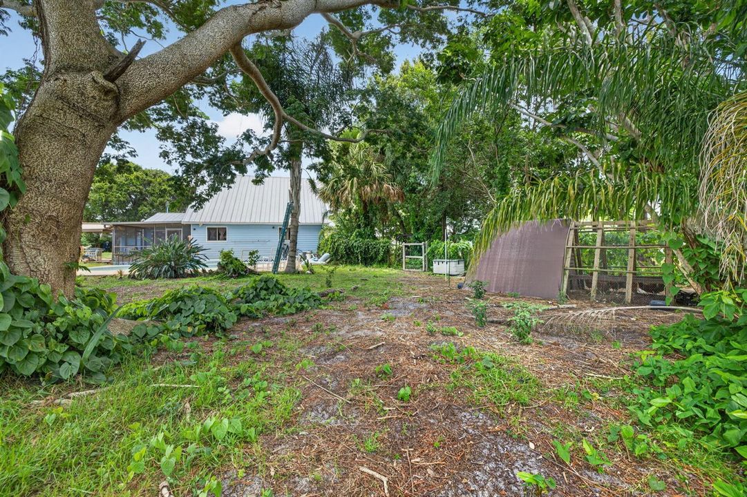 35 - Backyard