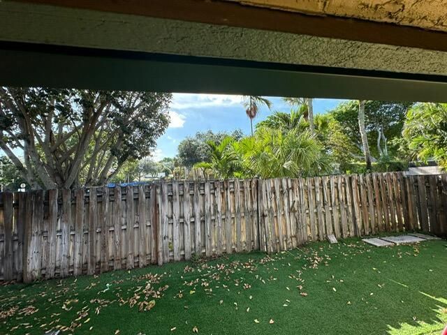 the back yard