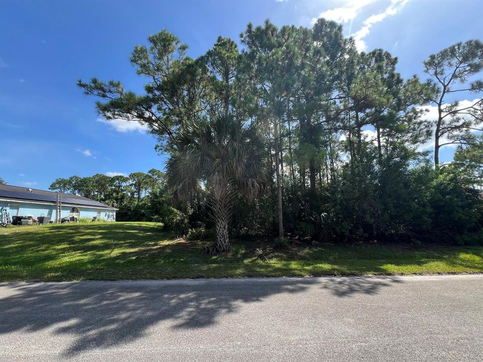IMG_1611