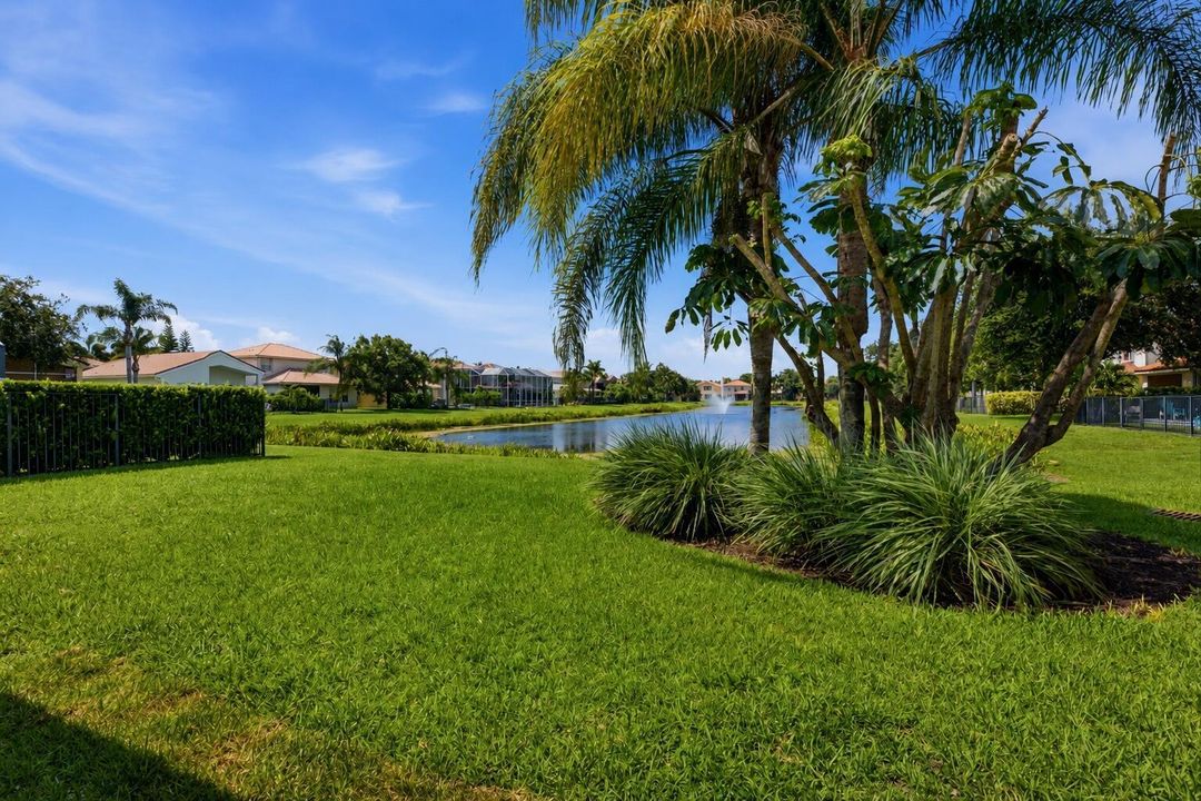 Water View