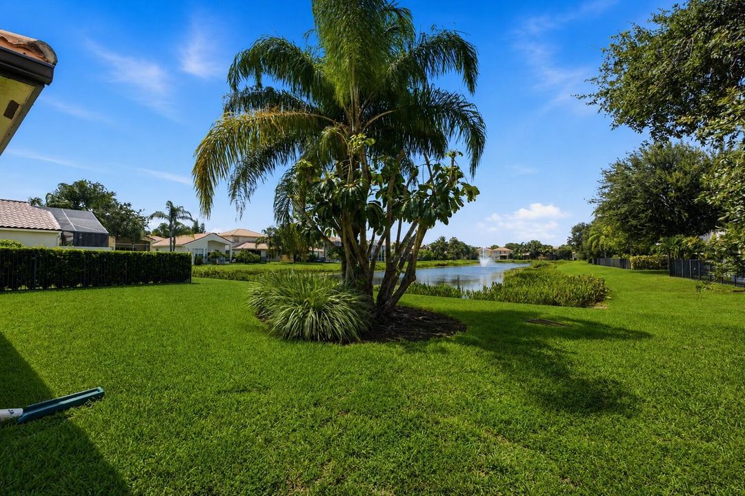 Water View