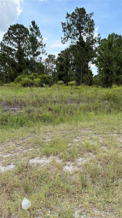 En Venta: $53,000 (1.25 acres)