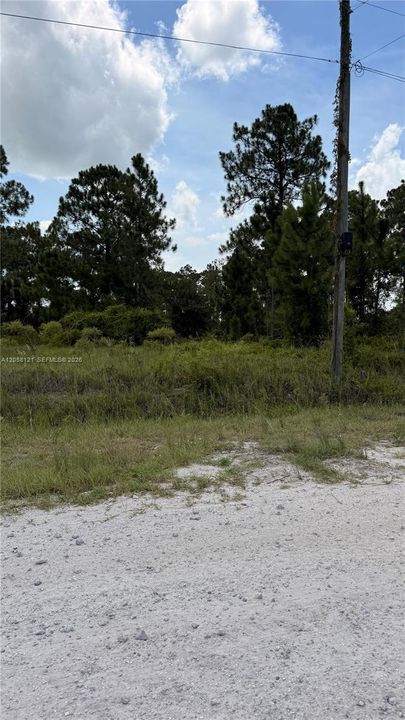 En Venta: $53,000 (1.25 acres)