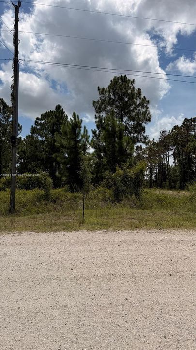 En Venta: $53,000 (1.25 acres)