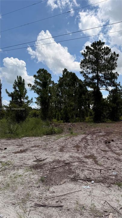 En Venta: $53,000 (1.25 acres)