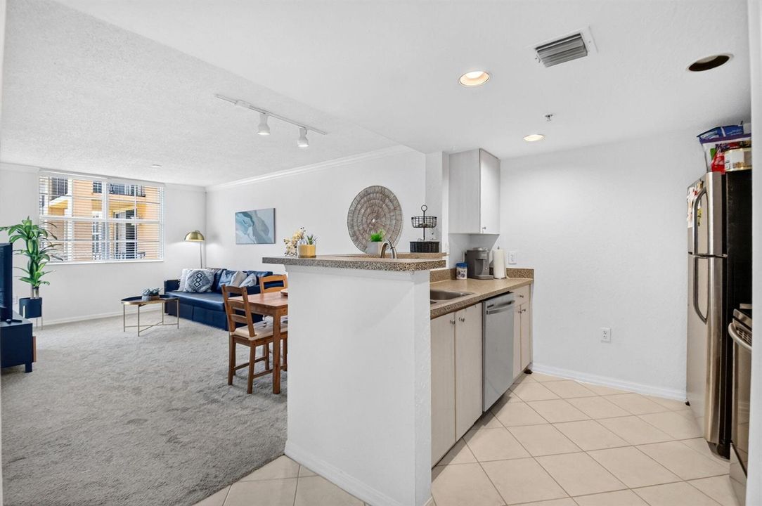 Kitchen/Living Room